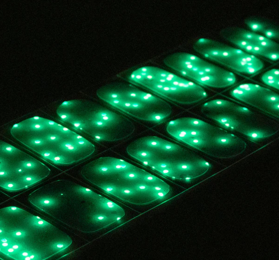 Festive frenzy (✨Brillan en la oscuridad✨)