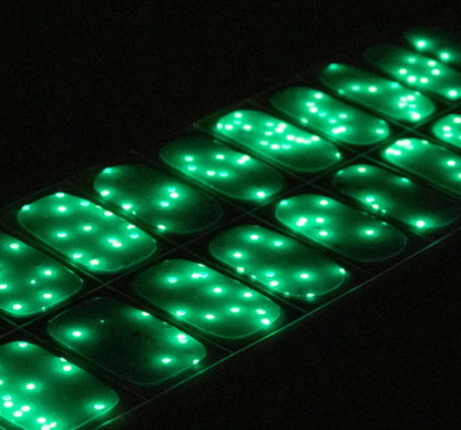 Festive frenzy (✨Brillan en la oscuridad✨)